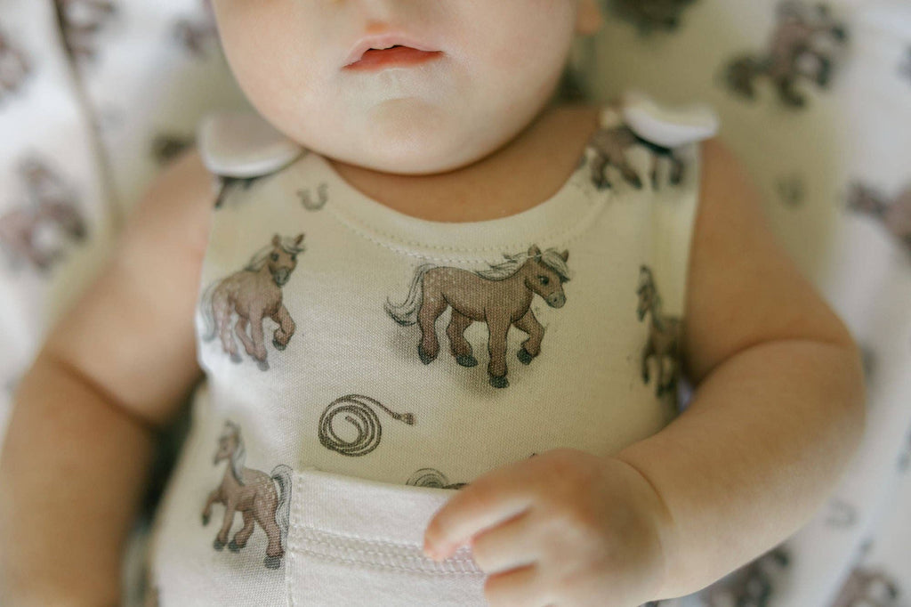 Little Lasso