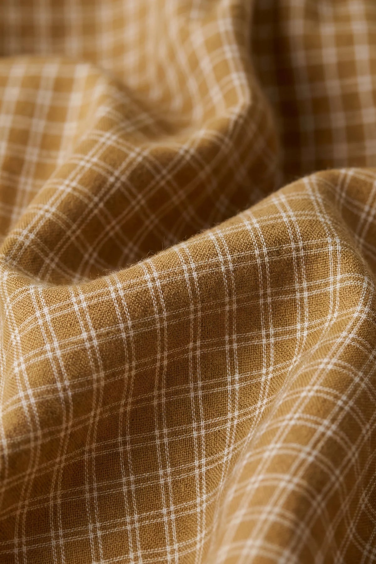 Kenji Pant