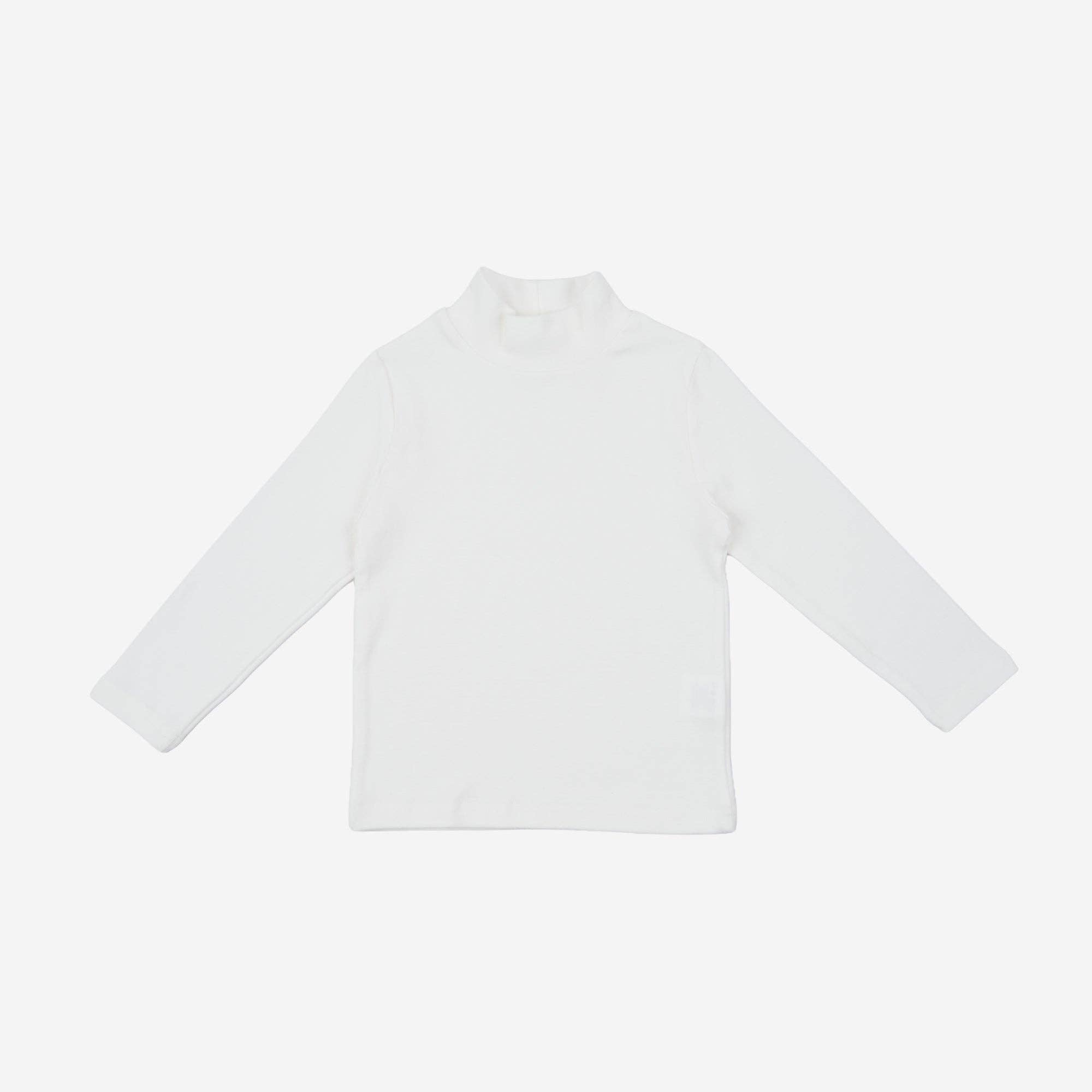 Ollie Turtleneck Top
